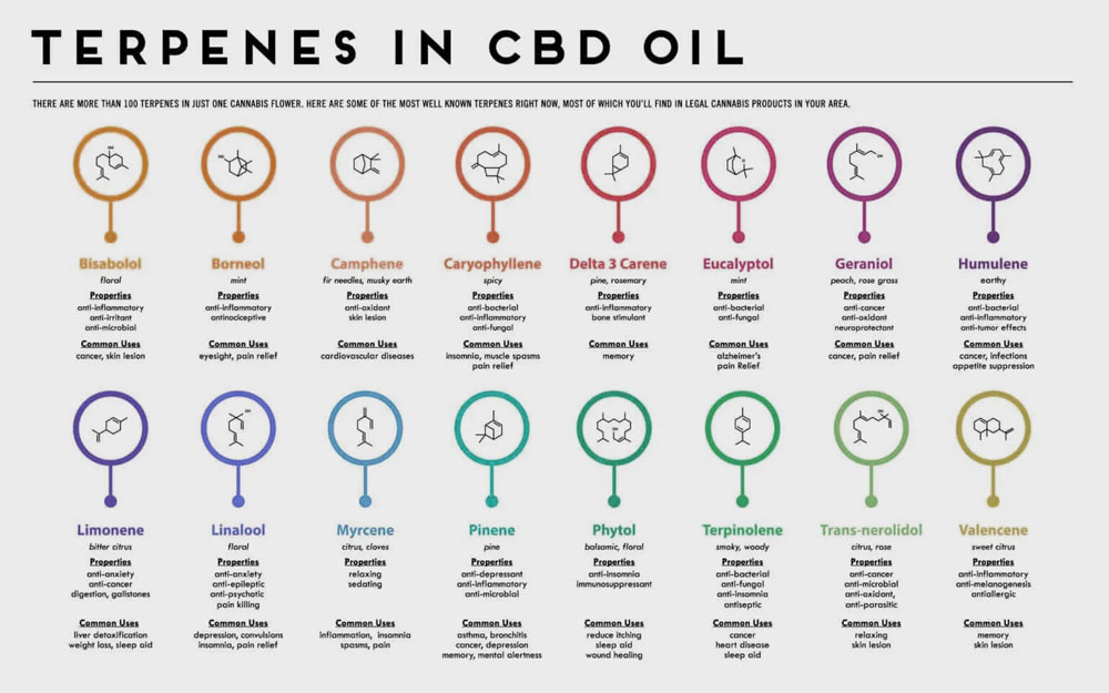 CBD Terpenes