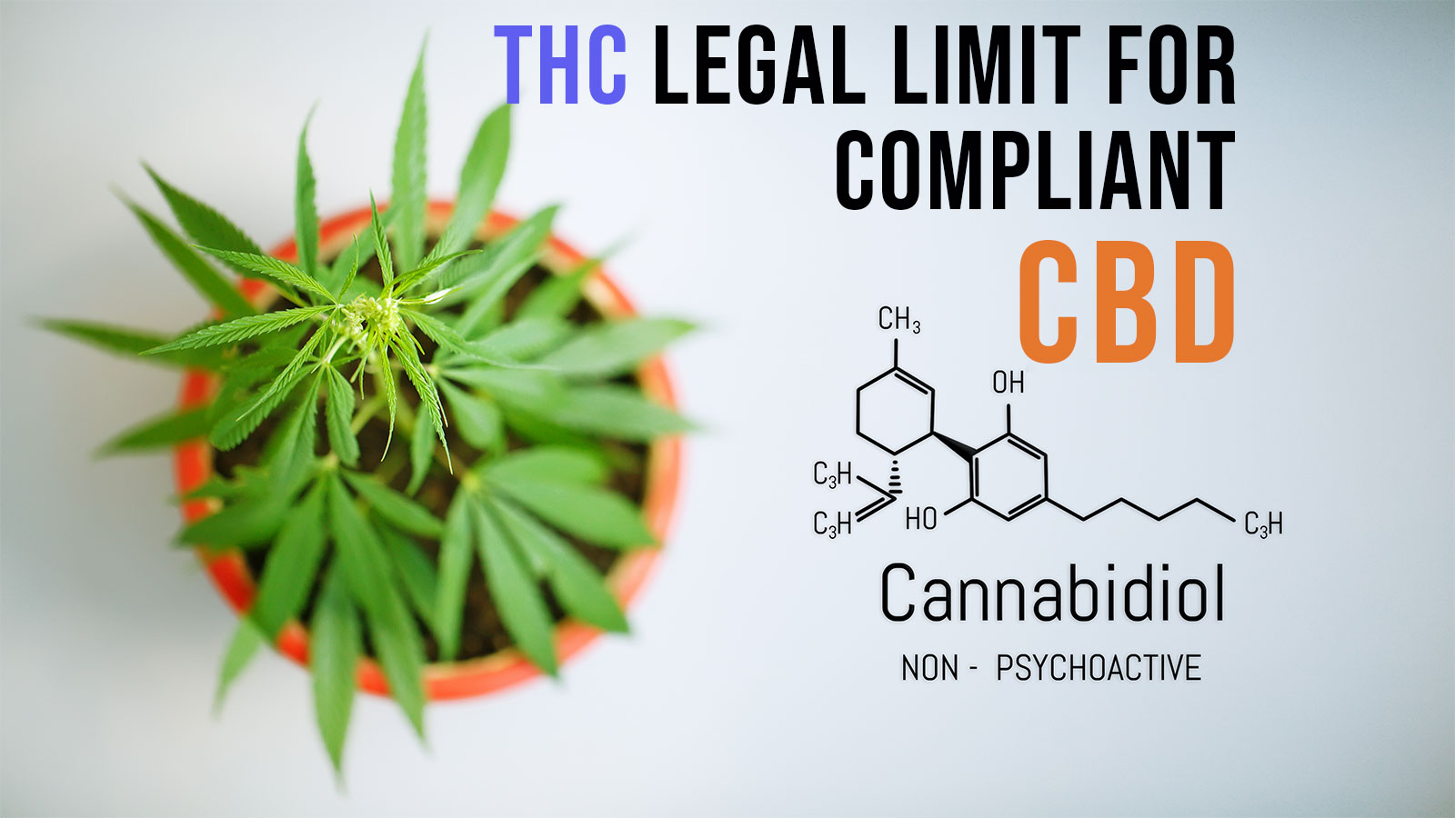 THC Limit for Compliant CBD